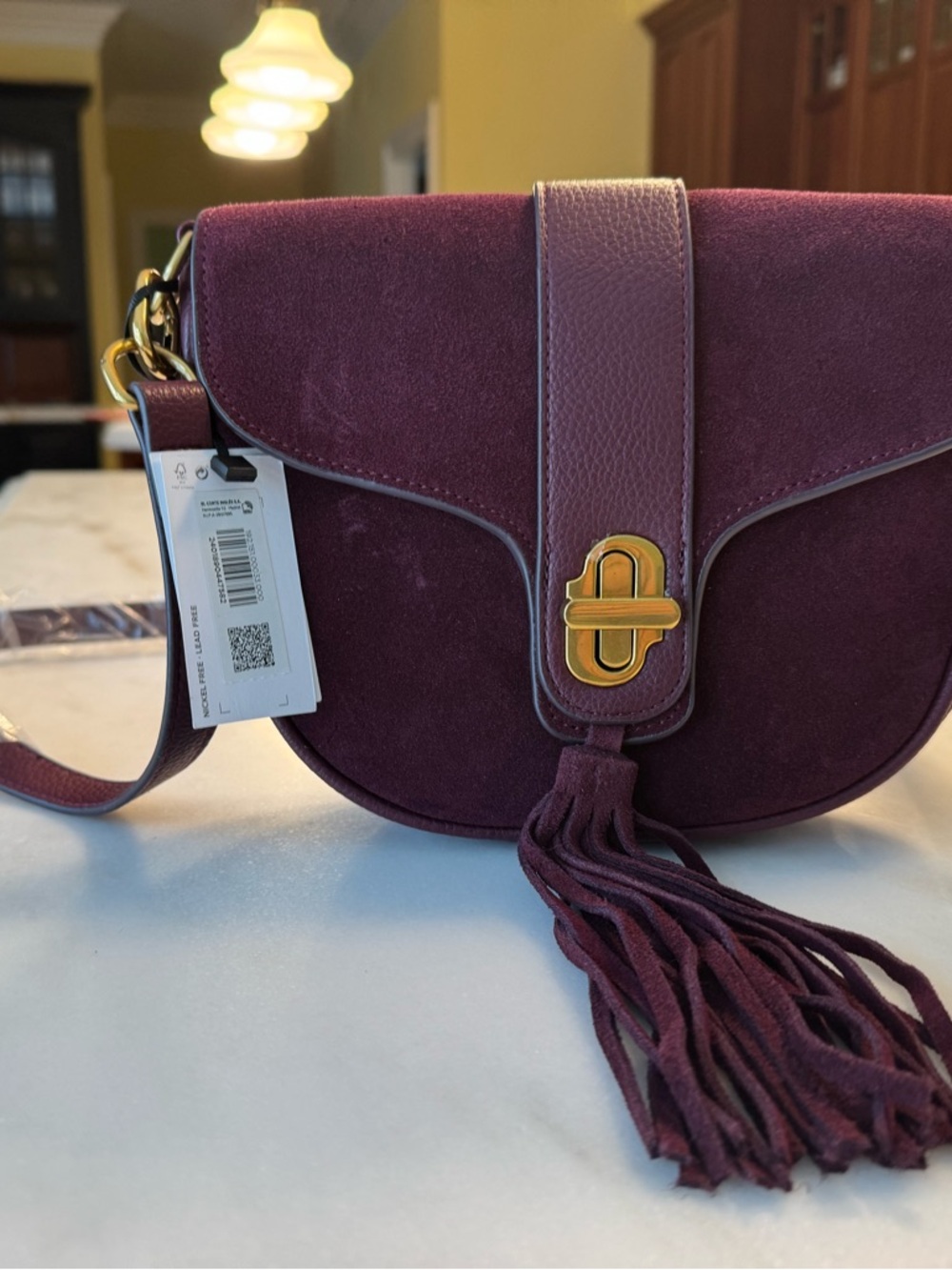 Suede Tassel Crossbody Bag in Plum
